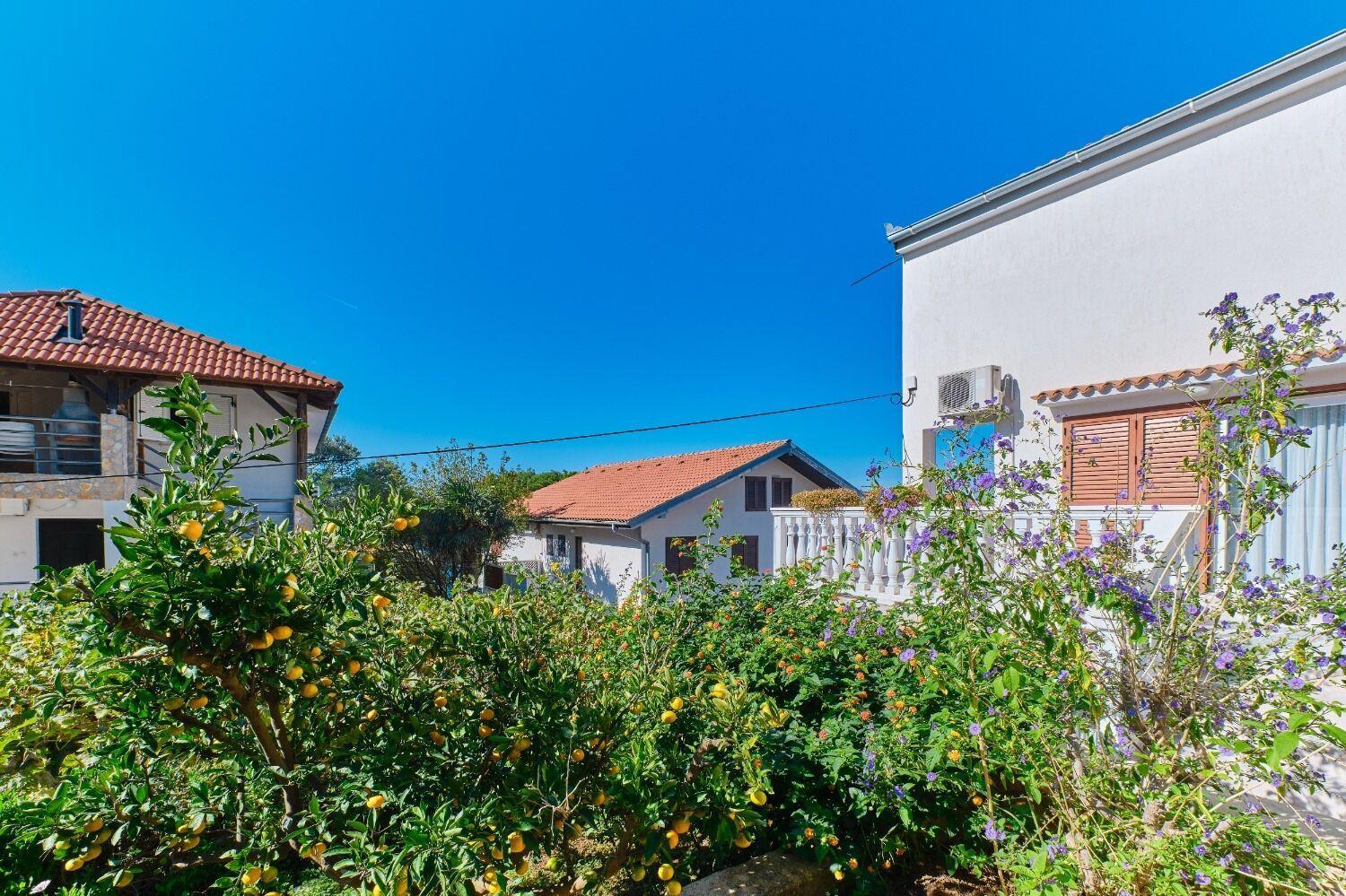 Apartment Luce Mali Lošinj Zewnętrze zdjęcie